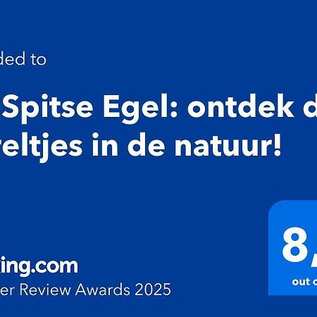 De Spitse Egel: Ontdek De Pareltjes In De Natuur! Otterlo Exteriér fotografie