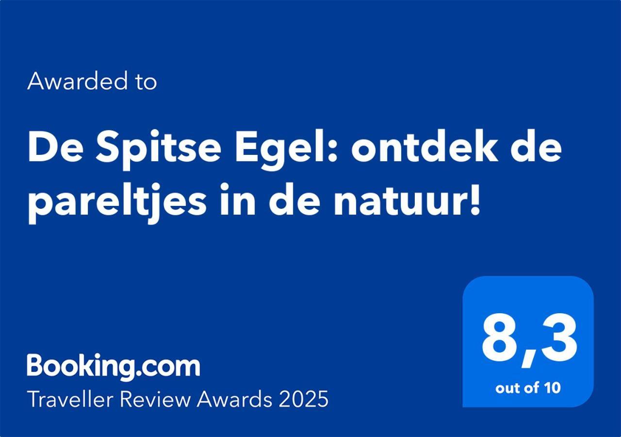 De Spitse Egel: Ontdek De Pareltjes In De Natuur! Otterlo Exteriér fotografie